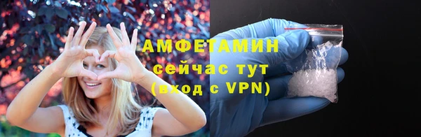 PSILOCYBIN Покров