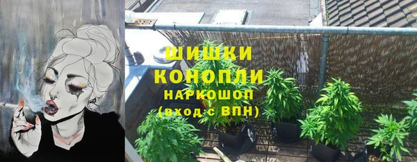 PSILOCYBIN Покров