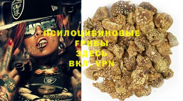 шишки Алексин
